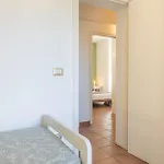 Dei Profumi *